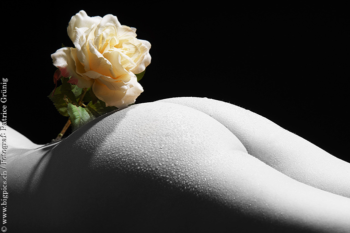 Eine Rose auf dem Poo beim Erotikfotoshooting im Fotostudio in Wolfwil