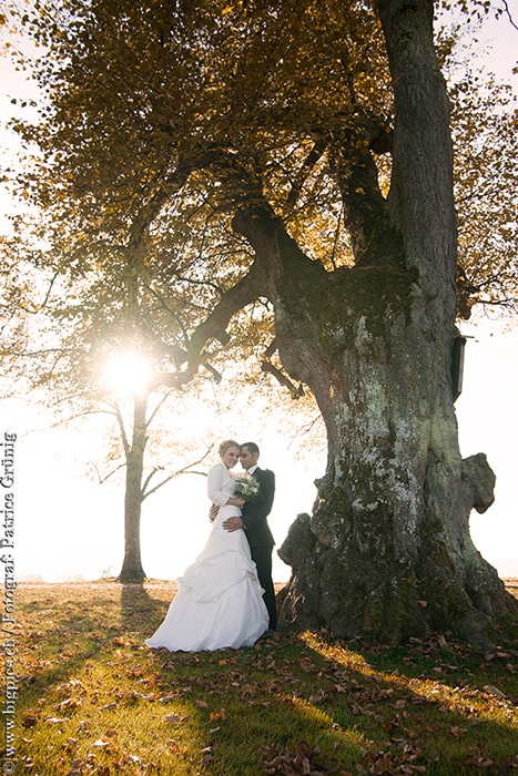 Hochzeitsfoto vom Hochzeitsfotografen auf dem Heiteren in Zofingen nähe Oftringen. Brautpaar unter einem Baum